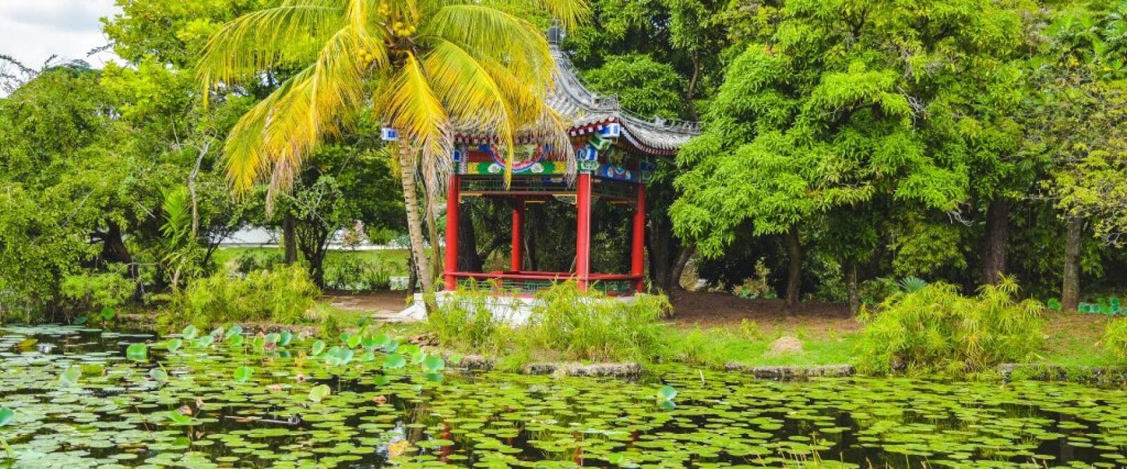 Botanical garden in a Jamaican city