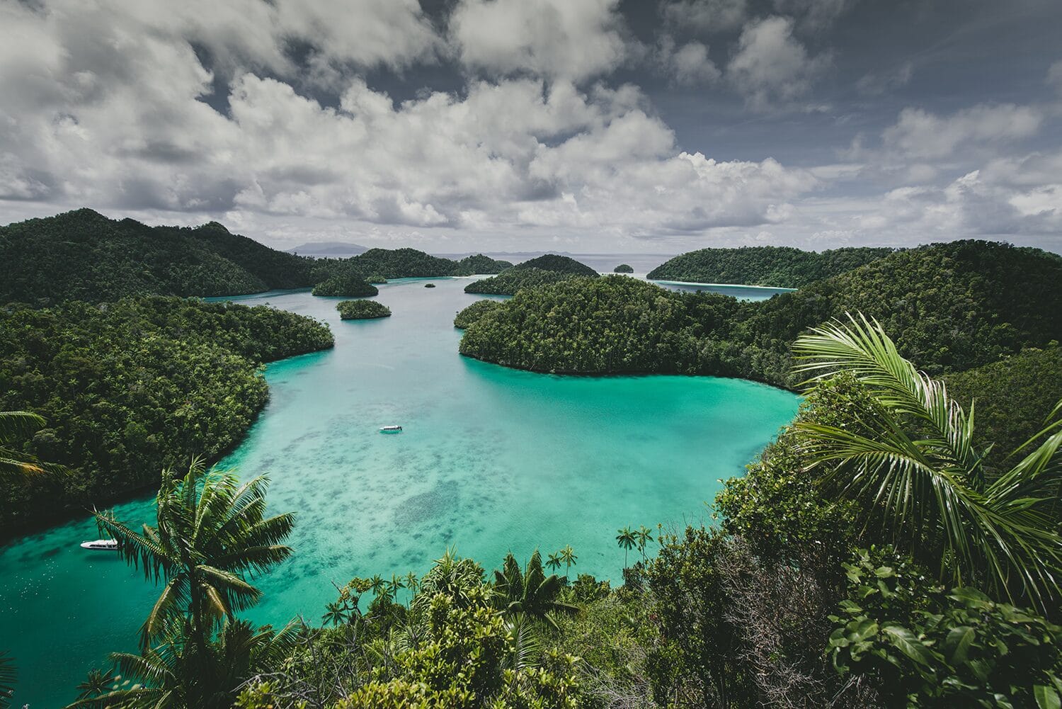 Jamaica Landscape What is the best time to visit Jamaica