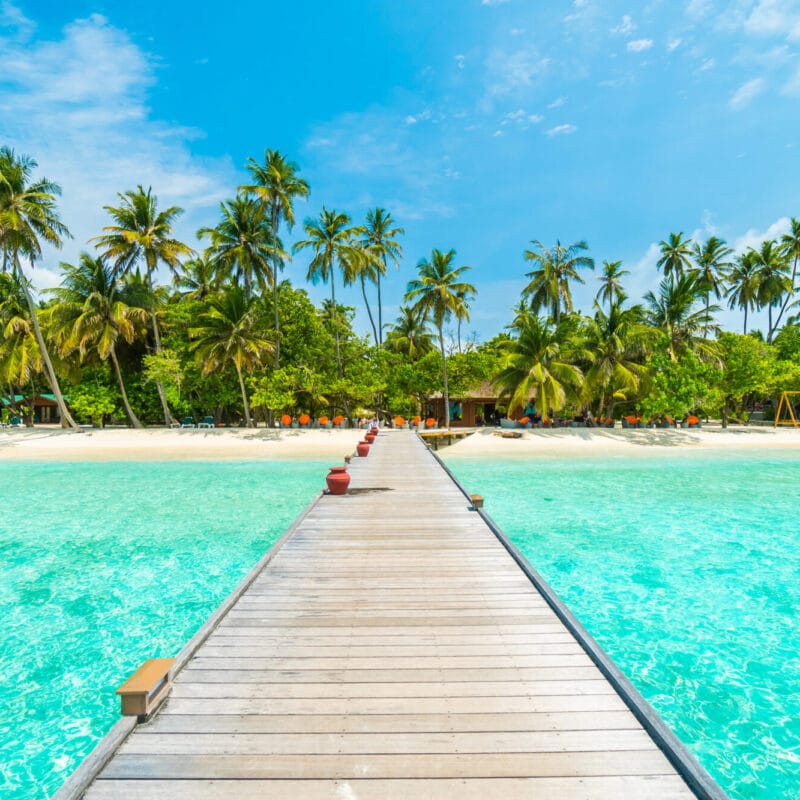 Things to do during vacation in Jamaica