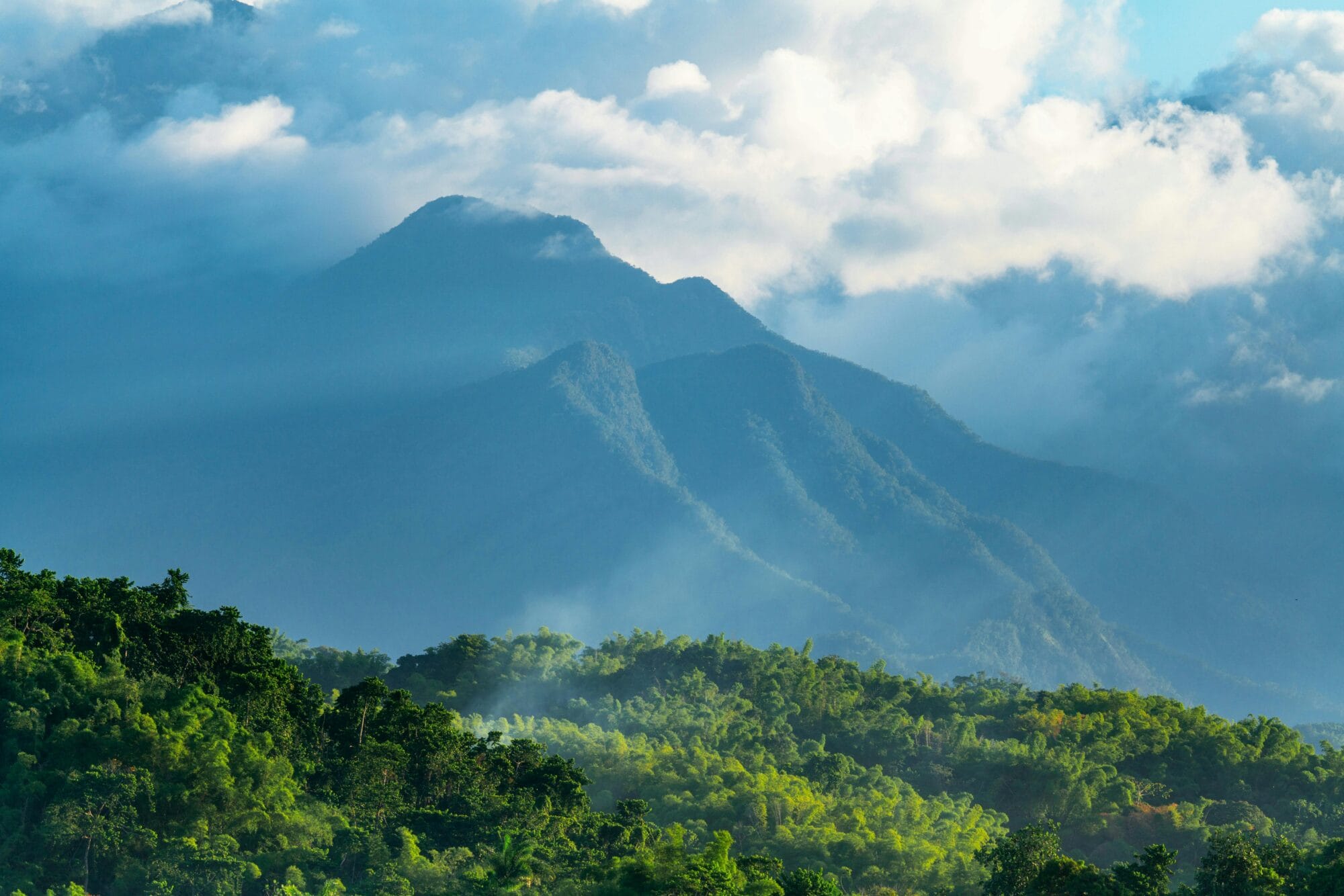 Exploring the Blue Mountain during honeymoon in Jamaica