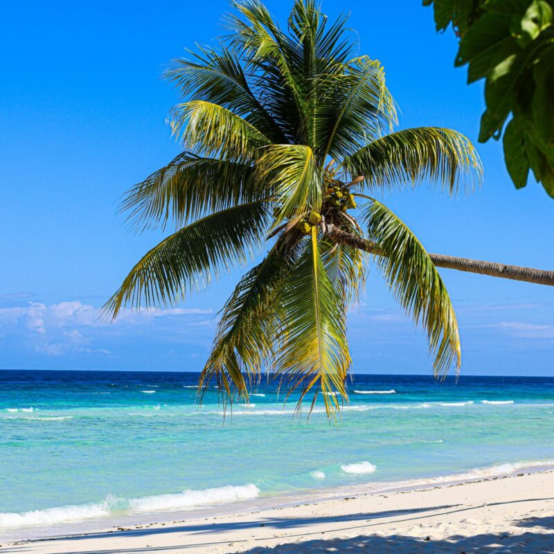 Discover the best beaches in jamaica