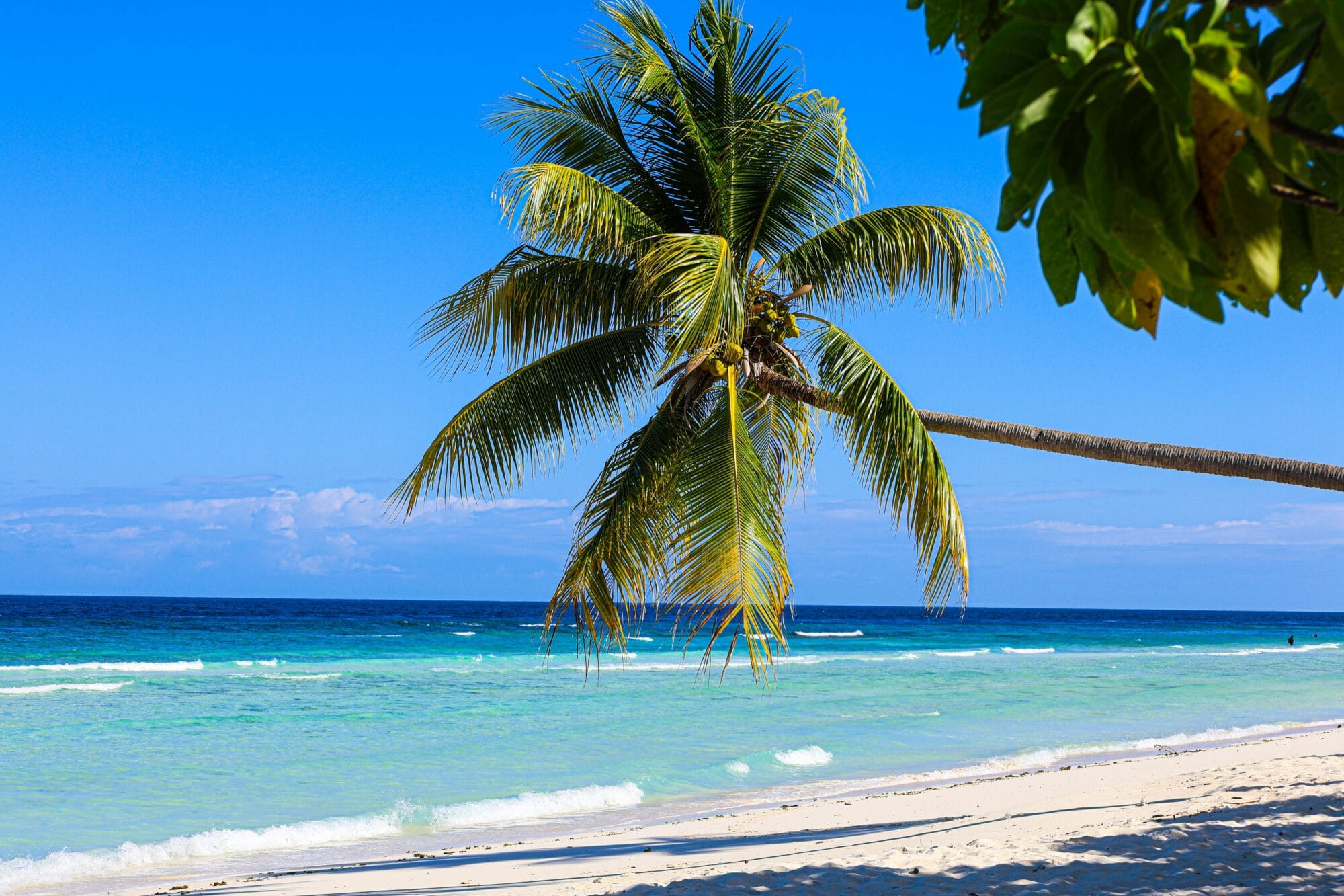 Discover the best beaches in jamaica