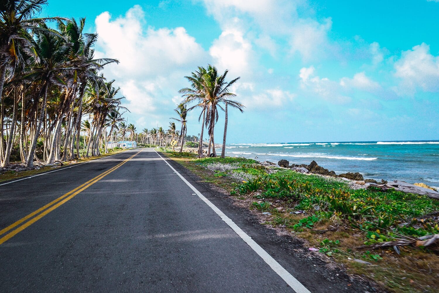 A beach and road in Jamaica: What is the best time to visit Jamaica?
