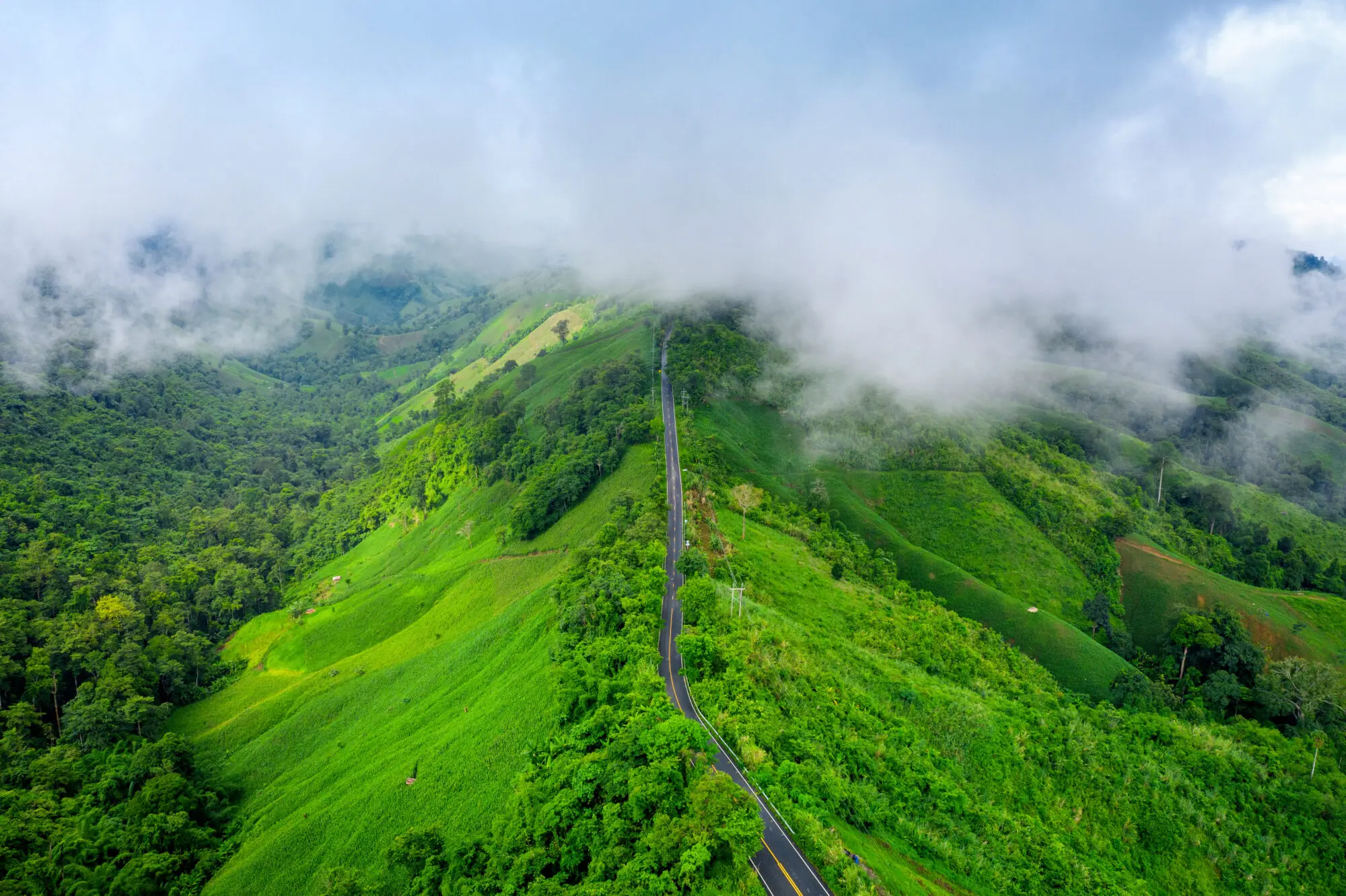 The Jamaican Blue Mountains can be accessed through Kingston